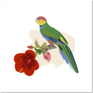 Parrot and Hibiscus Posters and Art